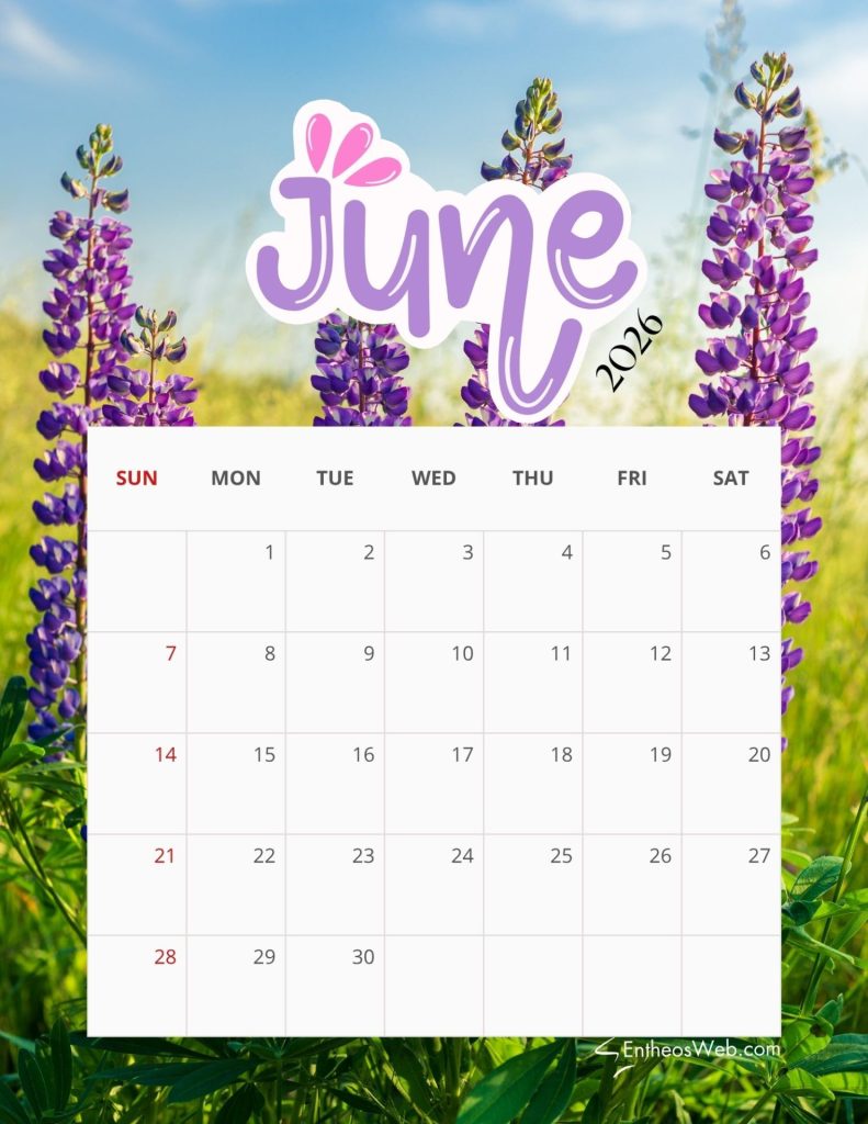 June 2016 calendar grid over a field of purple lupine flowers in the background June 2026 calendar   puple flowers