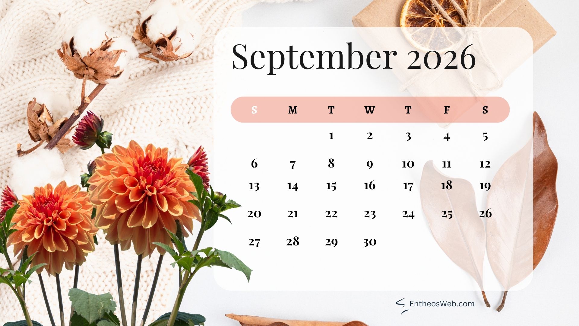 September 2026 calendar cozy | september 2026 desktop wallpapers | entheosweb September 2026 calendar page over a background of orange flowers and dried leaves in a cozy autumn scene September 2026 calendar cozy