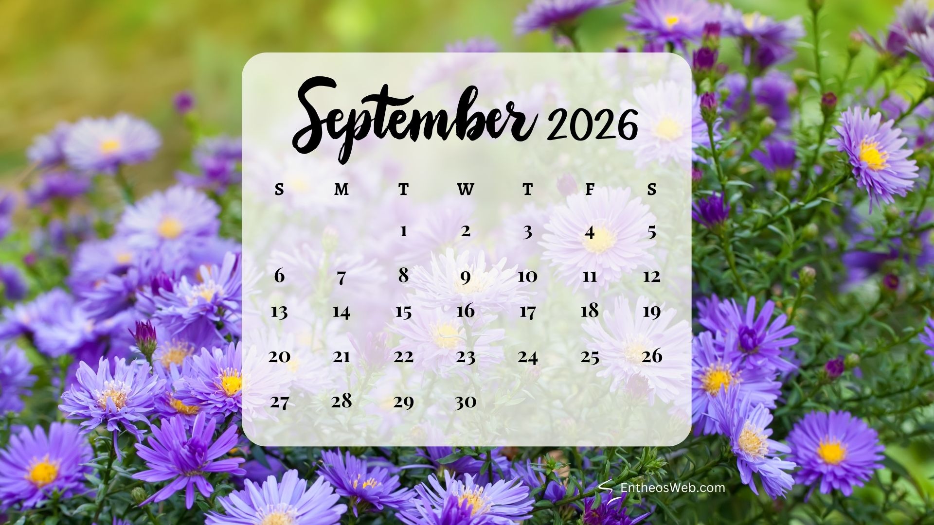 September 2026 calendar purple flowers | september 2026 desktop wallpapers | entheosweb September 2026 calendar overlay on a purple flower garden background september 2026 calendar purple flowers