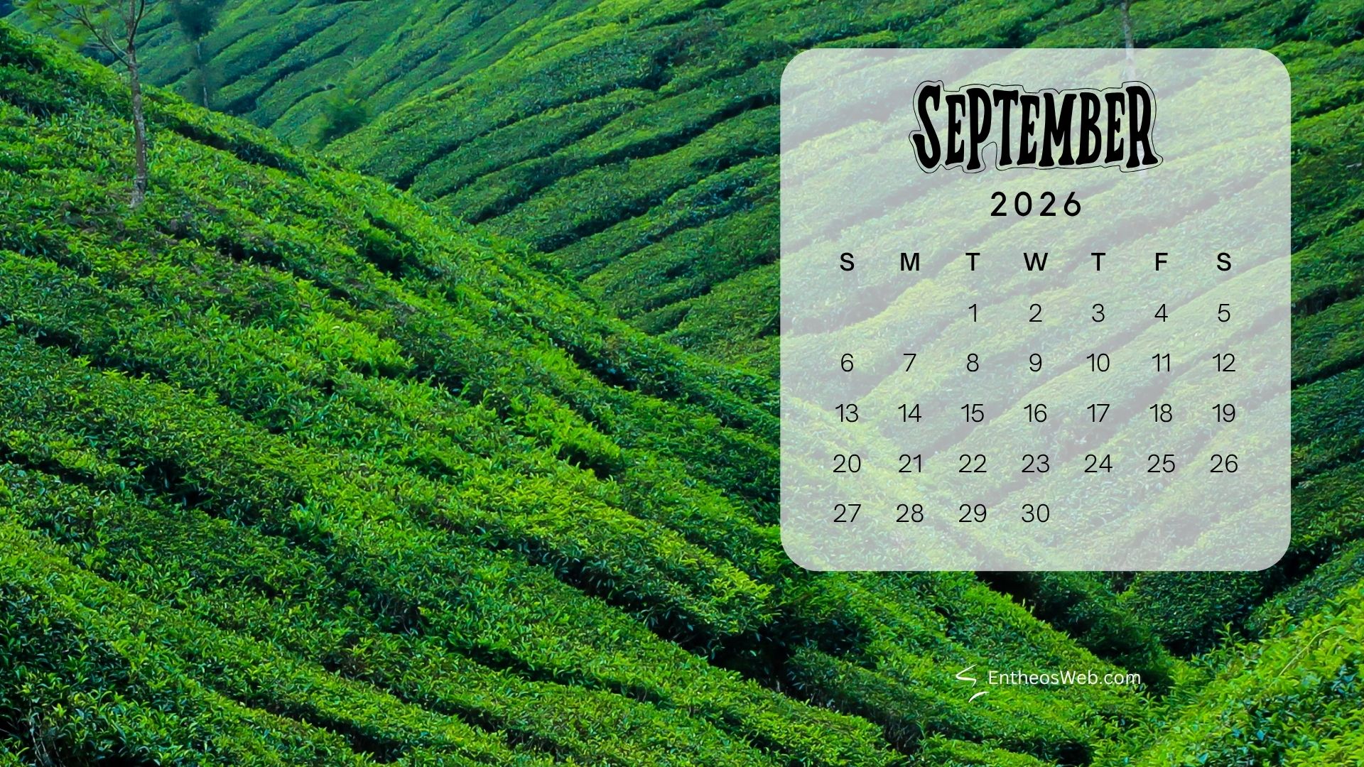 September 2026 desktop wallpaper hills | september 2026 desktop wallpapers | entheosweb September 2026 calendar overlay on a lush green tea plantation hillside September 2026 desktop wallpaper hills