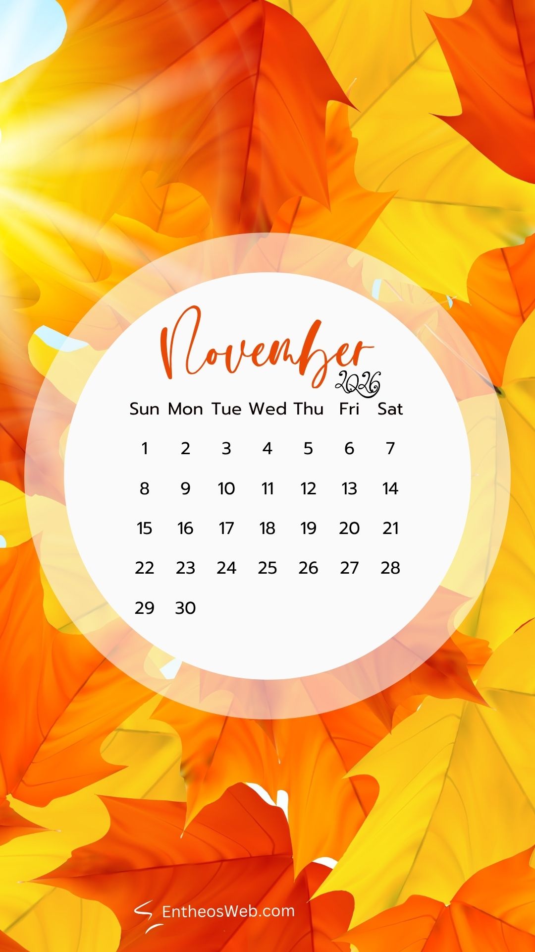 November 2026 phone wallpaper backgrounds fall leaves | november calendar phone wallpaper | entheosweb November 2016 calendar on a white circular area with dates set against bright autumn leaves orange yellow background includes entheosweb Com watermark at bottom November 2026 phone wallpaper backgrounds fall leaves