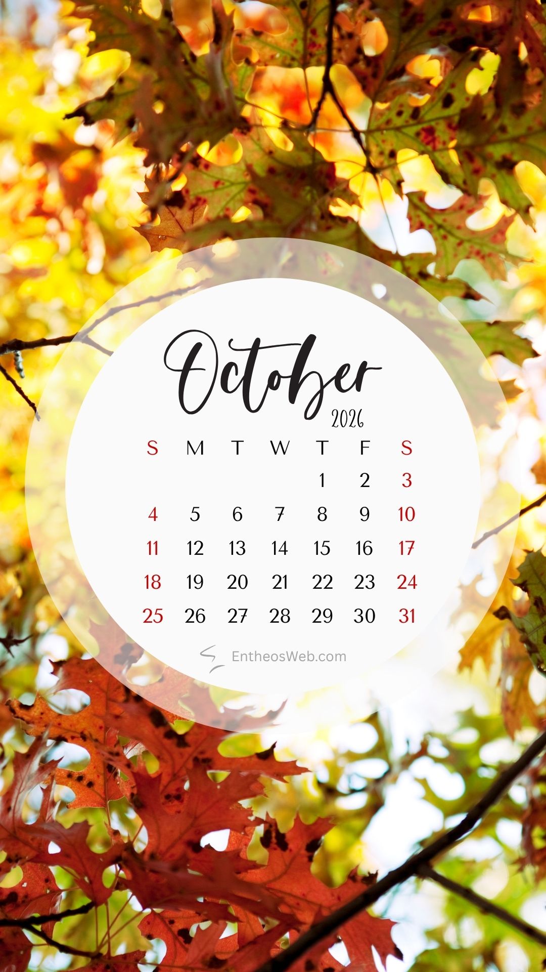 October 2026 phone wallpaper white frame 2 | october calendar phone wallpaper | entheosweb October 2021 calendar overlay on a circular white panel set against vibrant autumn leaves october 2026 phone wallpaper white frame 2