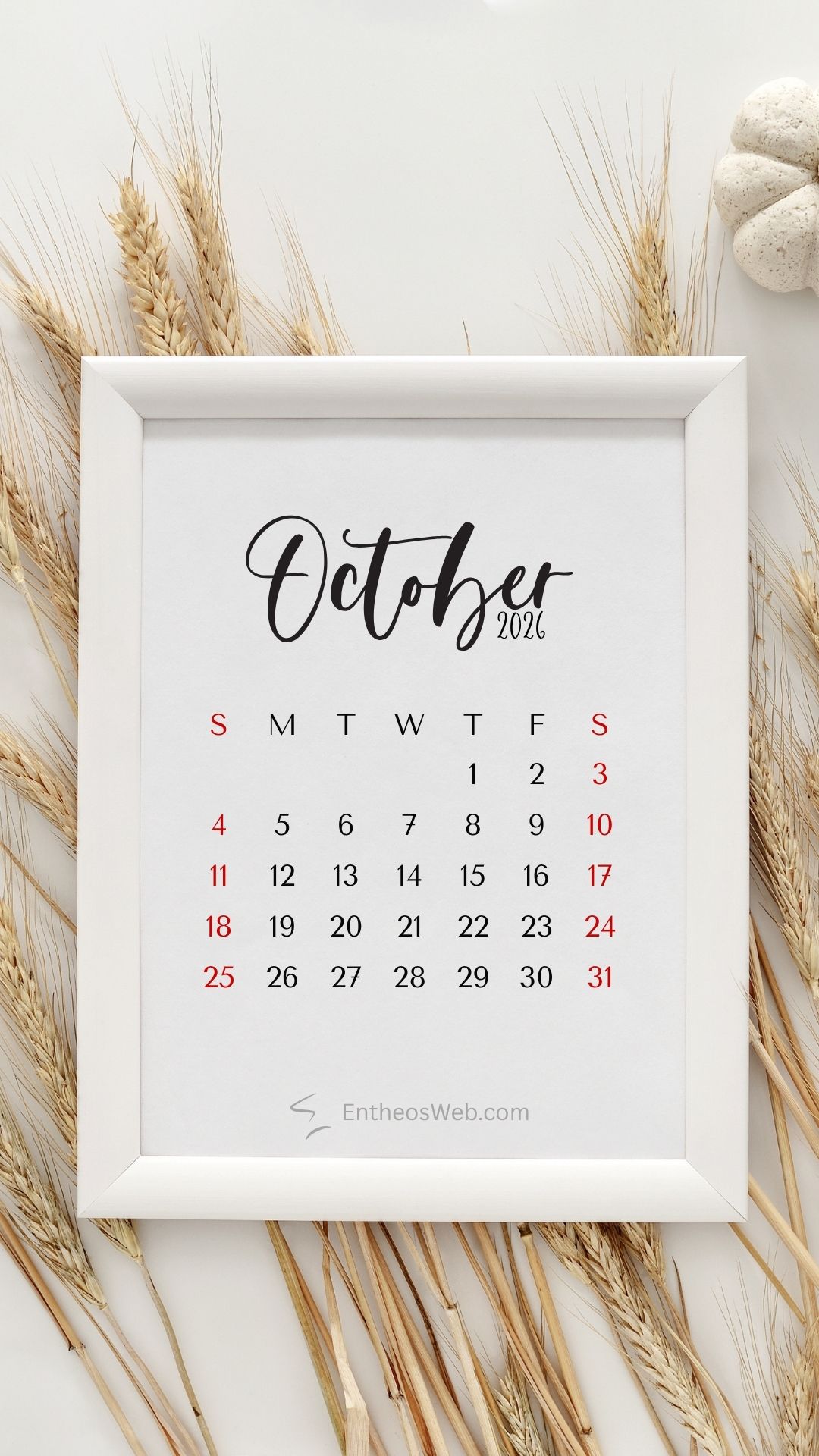 October 2026 phone wallpaper white frame | october calendar phone wallpaper | entheosweb White framed october 2026 calendar on a light background with dried wheat showing days and red sundays october 2026 phone wallpaper white frame