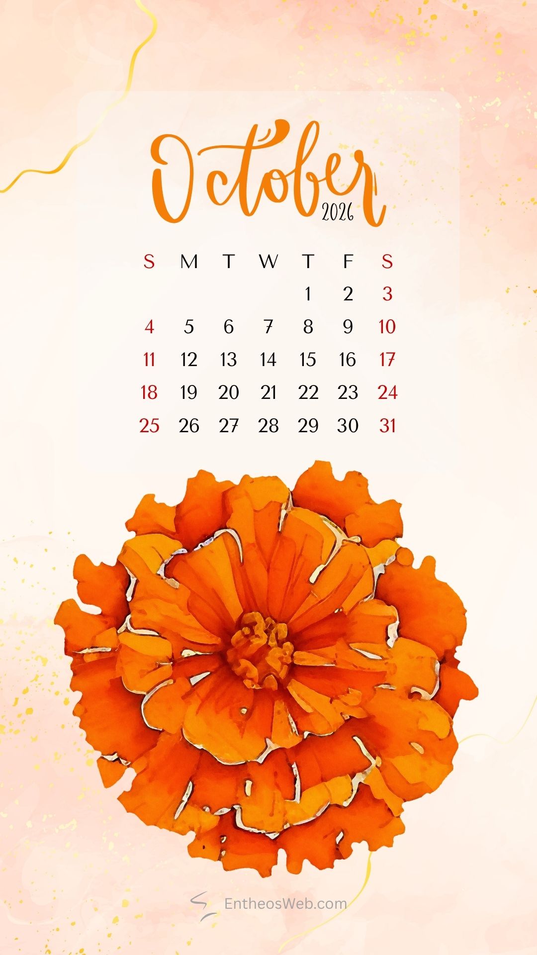 October calendar phone wallpaper beautiful marigold flower | october calendar phone wallpaper | entheosweb October 2026 calendar page with a pink watercolor background and an orange marigold at the bottom sundays are highlighted in red October calendar phone wallpaper beautiful marigold flower