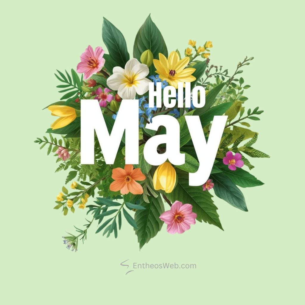 Bright floral bouquet surrounding large white text saying hello may on a pale green background Hello may desktop wallpaper white hello