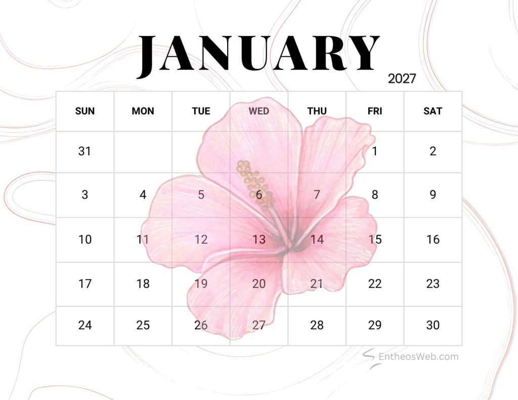Monthly january 2027 calendar grid overlaid with a large pink hibiscus flower design covering several days Flower january 2027 printable calendar