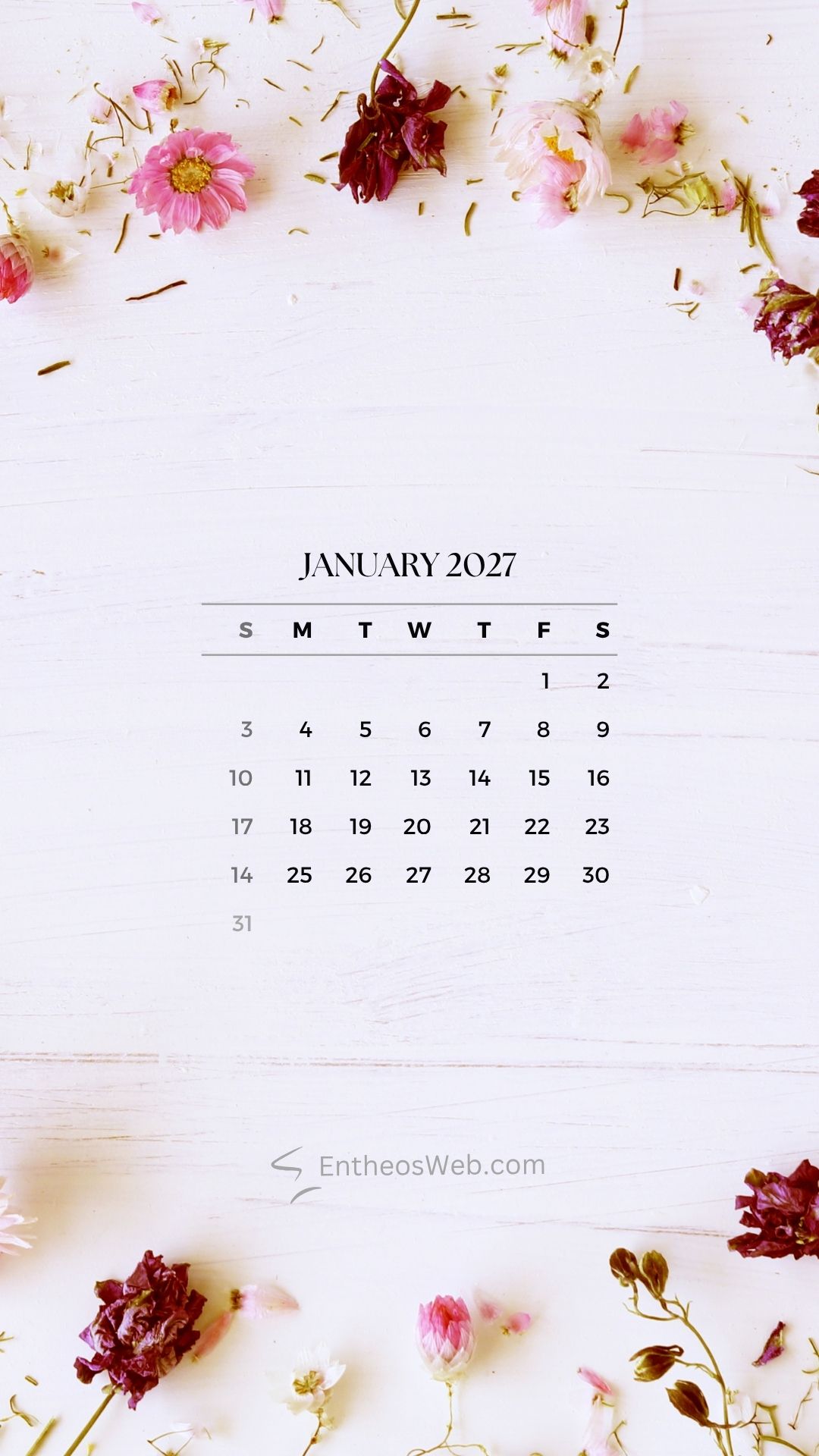 January 2027 floral phone wallpaper by entheosweb | january 2027 calendar phone wallpapers | entheosweb January 2027 calendar page on a white wooden background framed by pink and burgundy flowers at the top and bottom January 2027 floral phone wallpaper by entheosweb