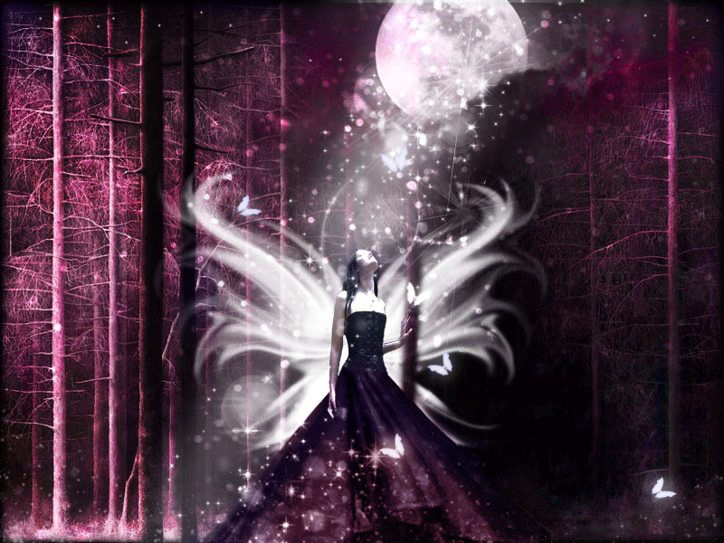 Learn How To Create A Beautiful Animated Effect in PhotoShop